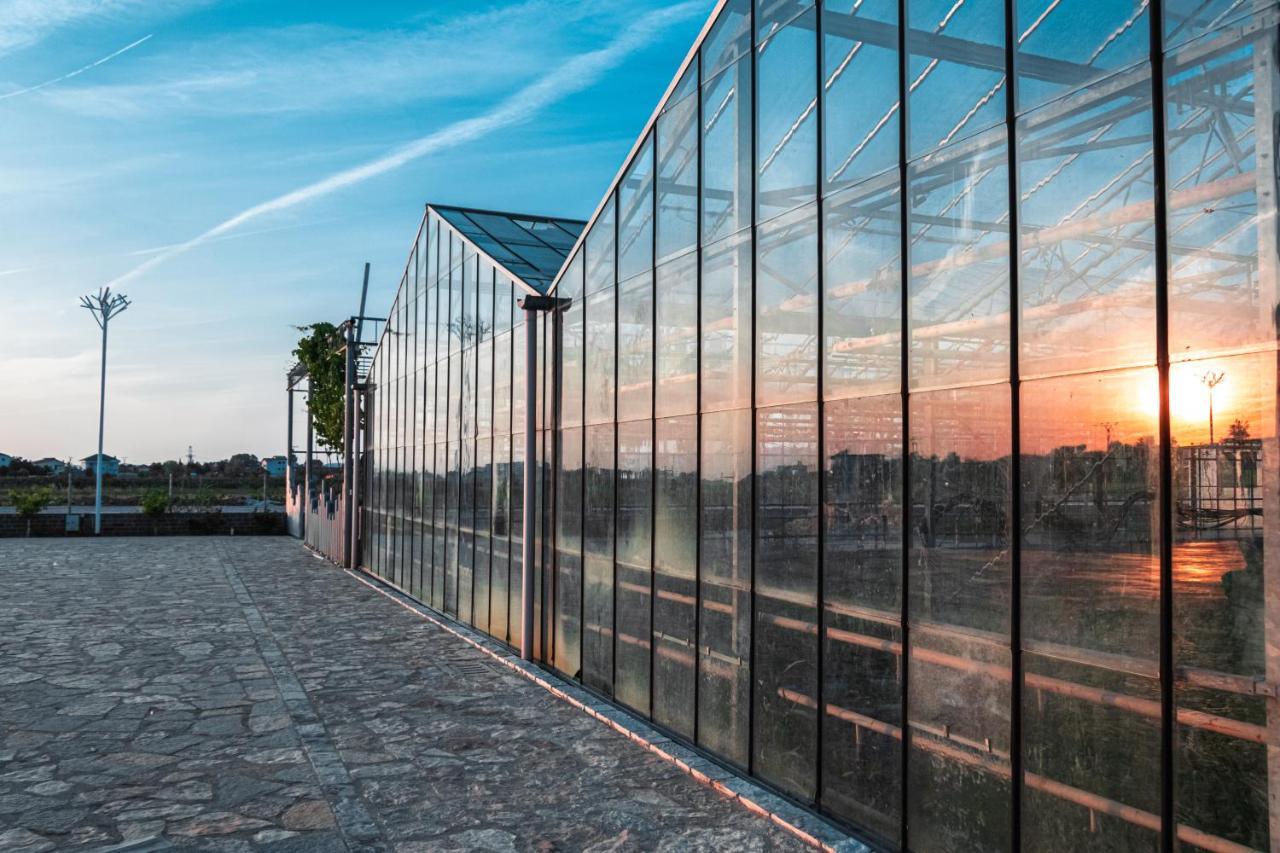 Kronos Hotel Koxhas Exteriör bild